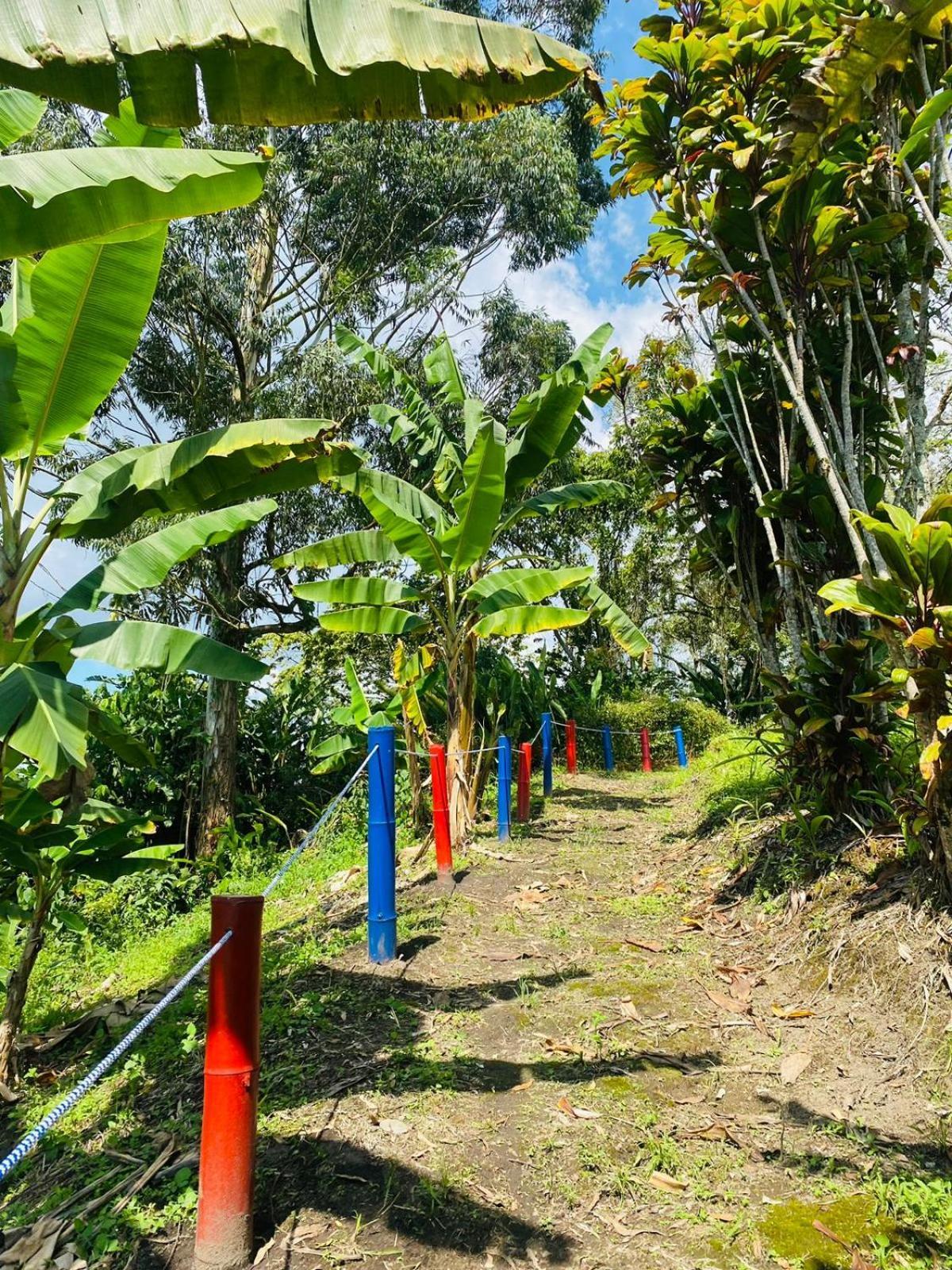 Finca Hotel El Eden Del Quindio Calarcá Eksteriør billede