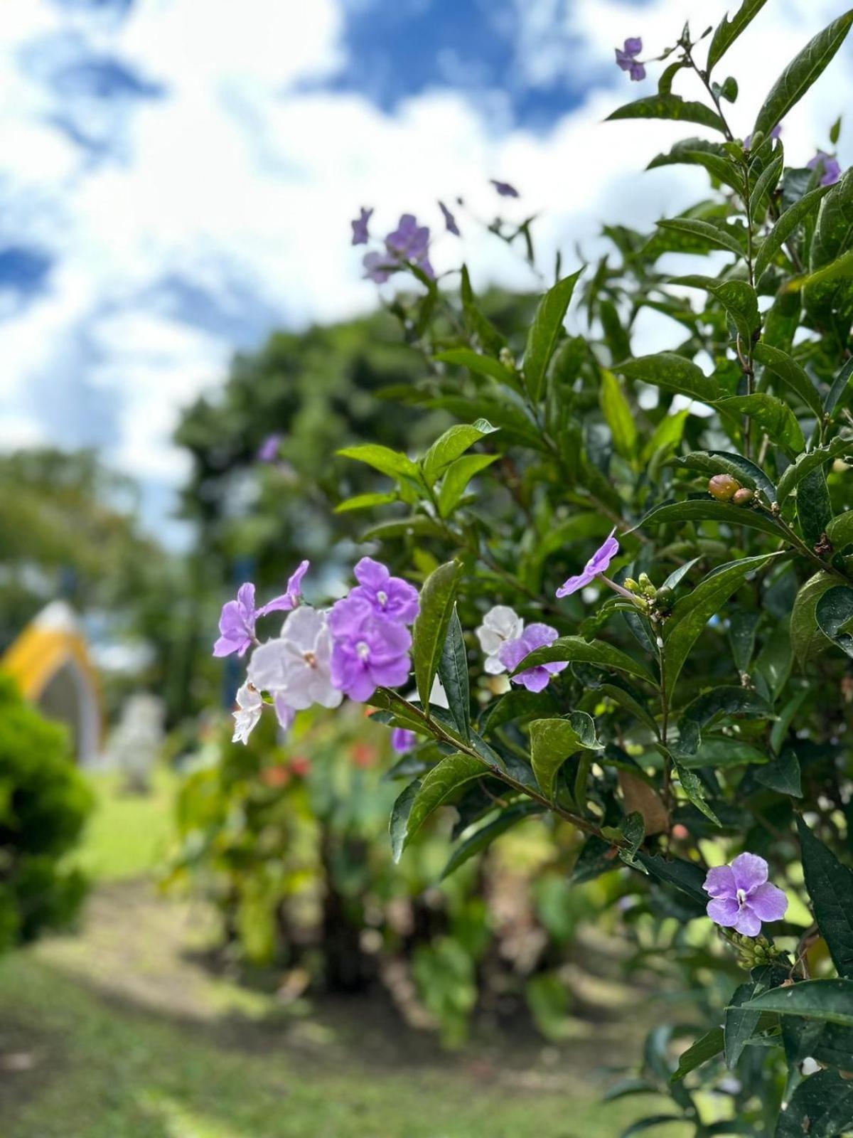 Finca Hotel El Eden Del Quindio Calarcá Eksteriør billede