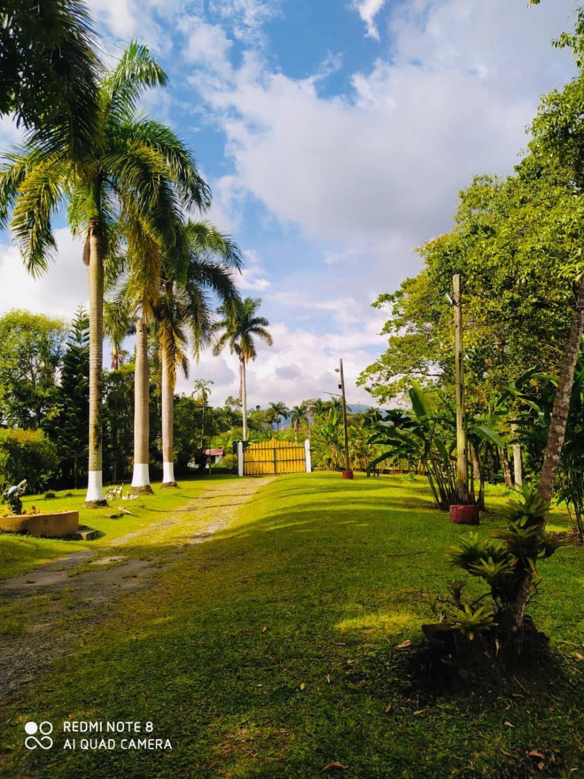 Finca Hotel El Eden Del Quindio Calarcá Eksteriør billede